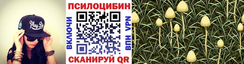 Псилоцибиновые грибы ЛСД  Купить где  Киров 